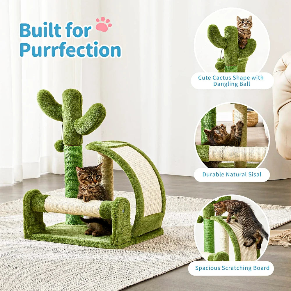 Cactus Kitty Scratcher