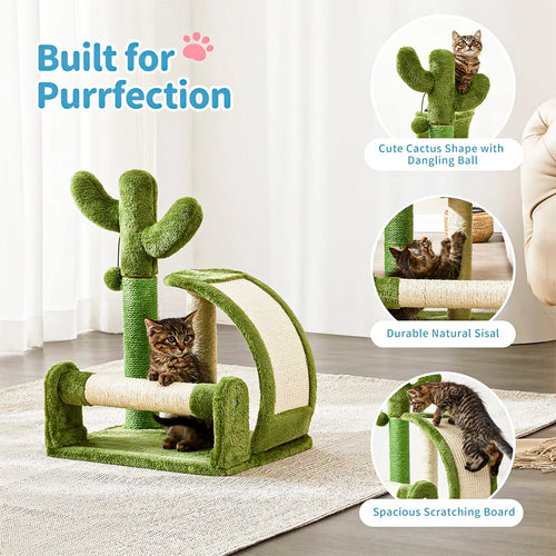 Cactus Kitty Scratcher