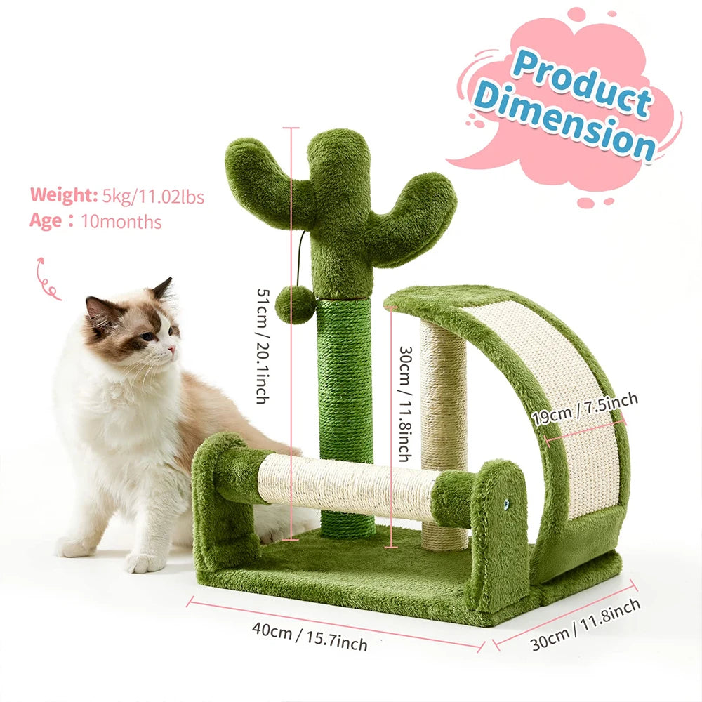 Cactus Kitty Scratcher