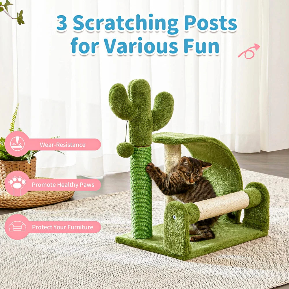 Cactus Kitty Scratcher