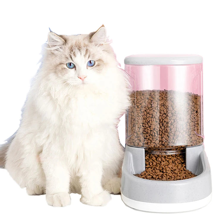 Gravity Dual Bowl Pet Feeding Station