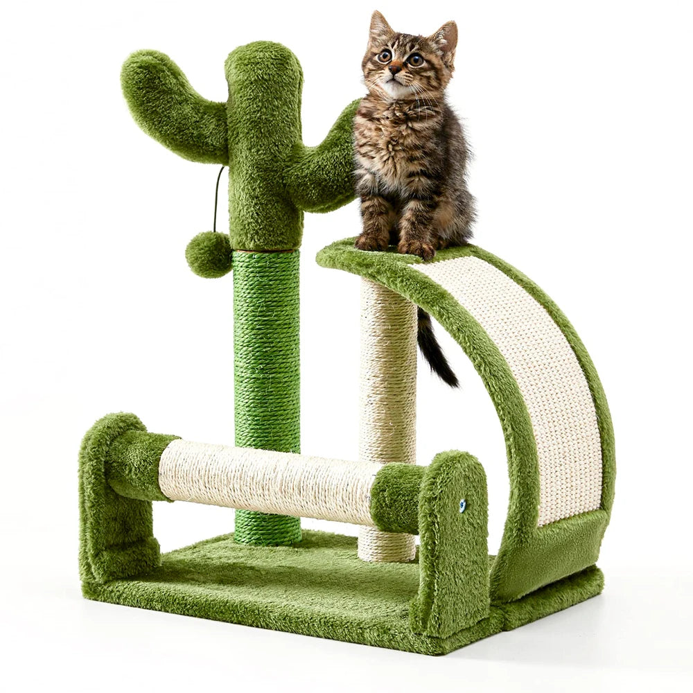 Cactus Kitty Scratcher