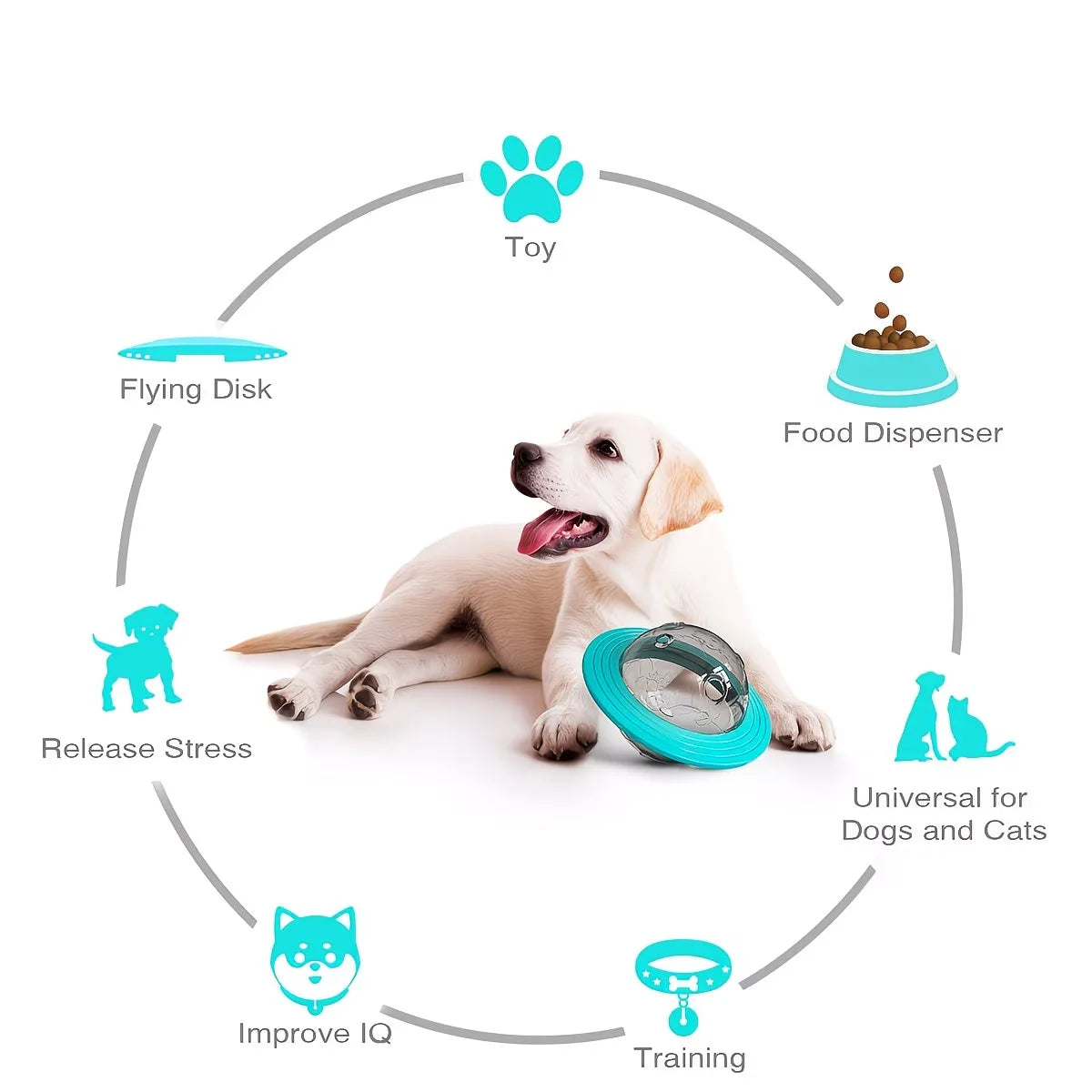 Food-Dispensing Toy for Dogs